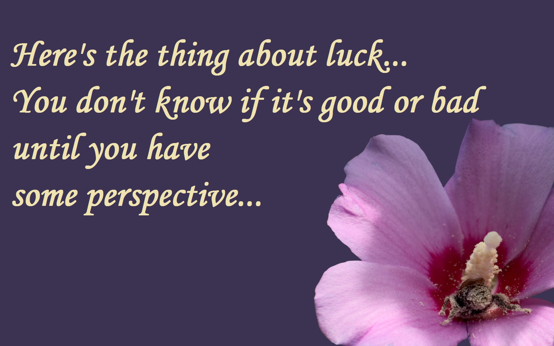 lovely image for good luck quotes
