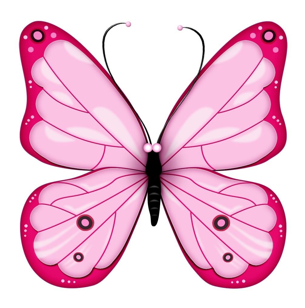 butterfly image clipart