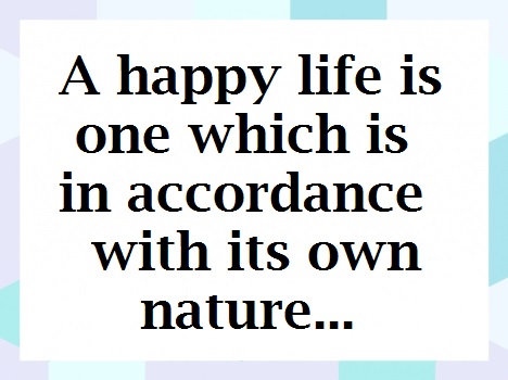 happy life quotes 2017 image