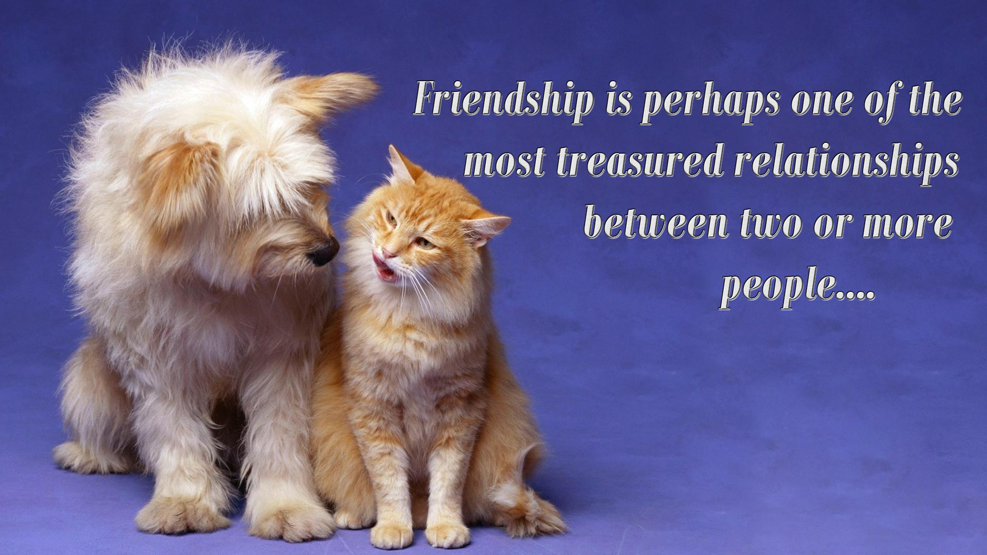 beautiful friendship message image