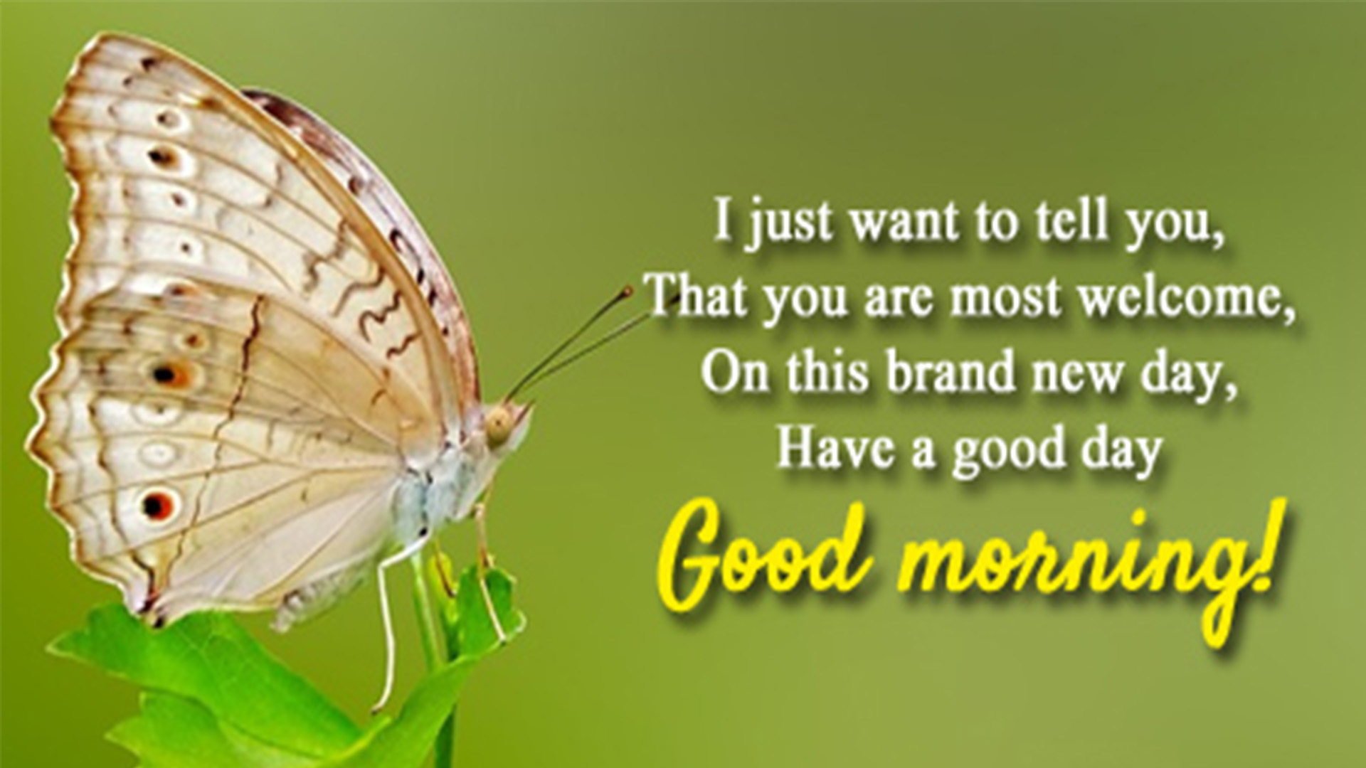 new good morning wishes image