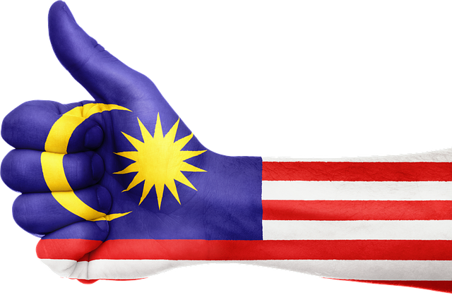 malaysia thumb up flag pictures