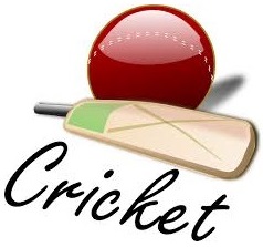 cricket-image