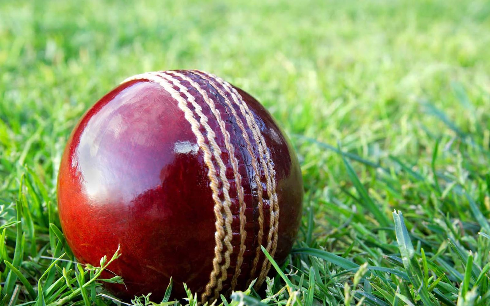 cricket-schedule-image