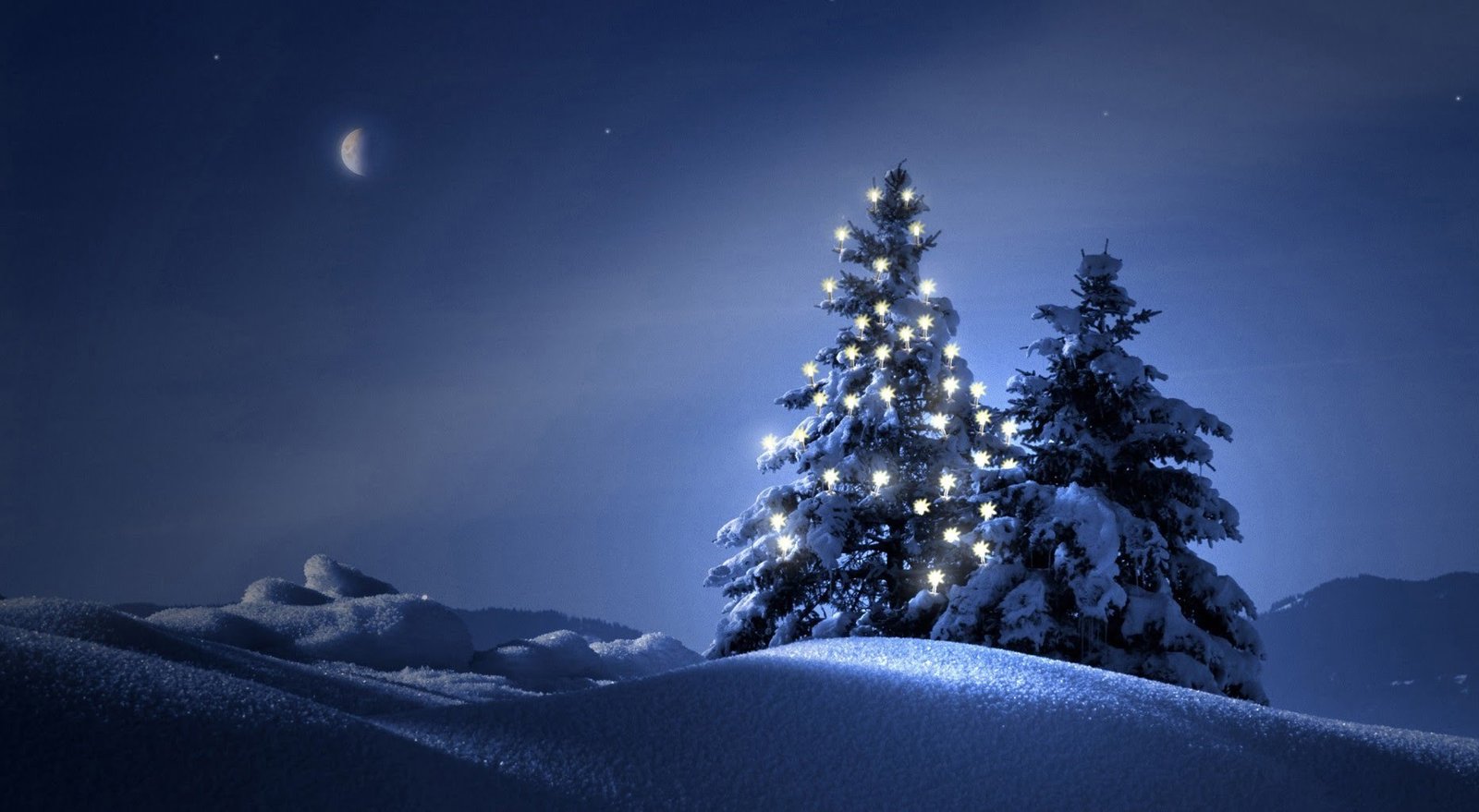 free christmas tree image hd wallpaper