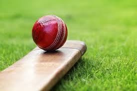 cricket-image