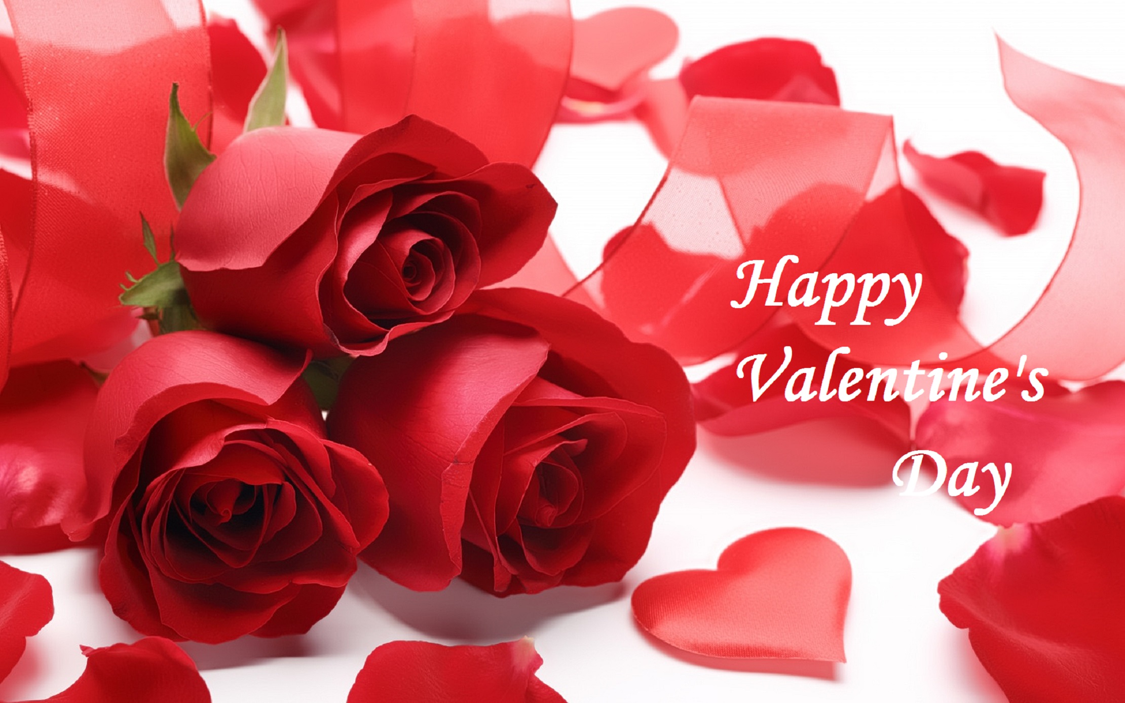 beautiful rose wallpaper with valentine message