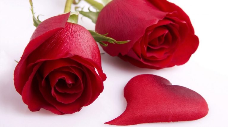 beautiful valentines day wallpapers image