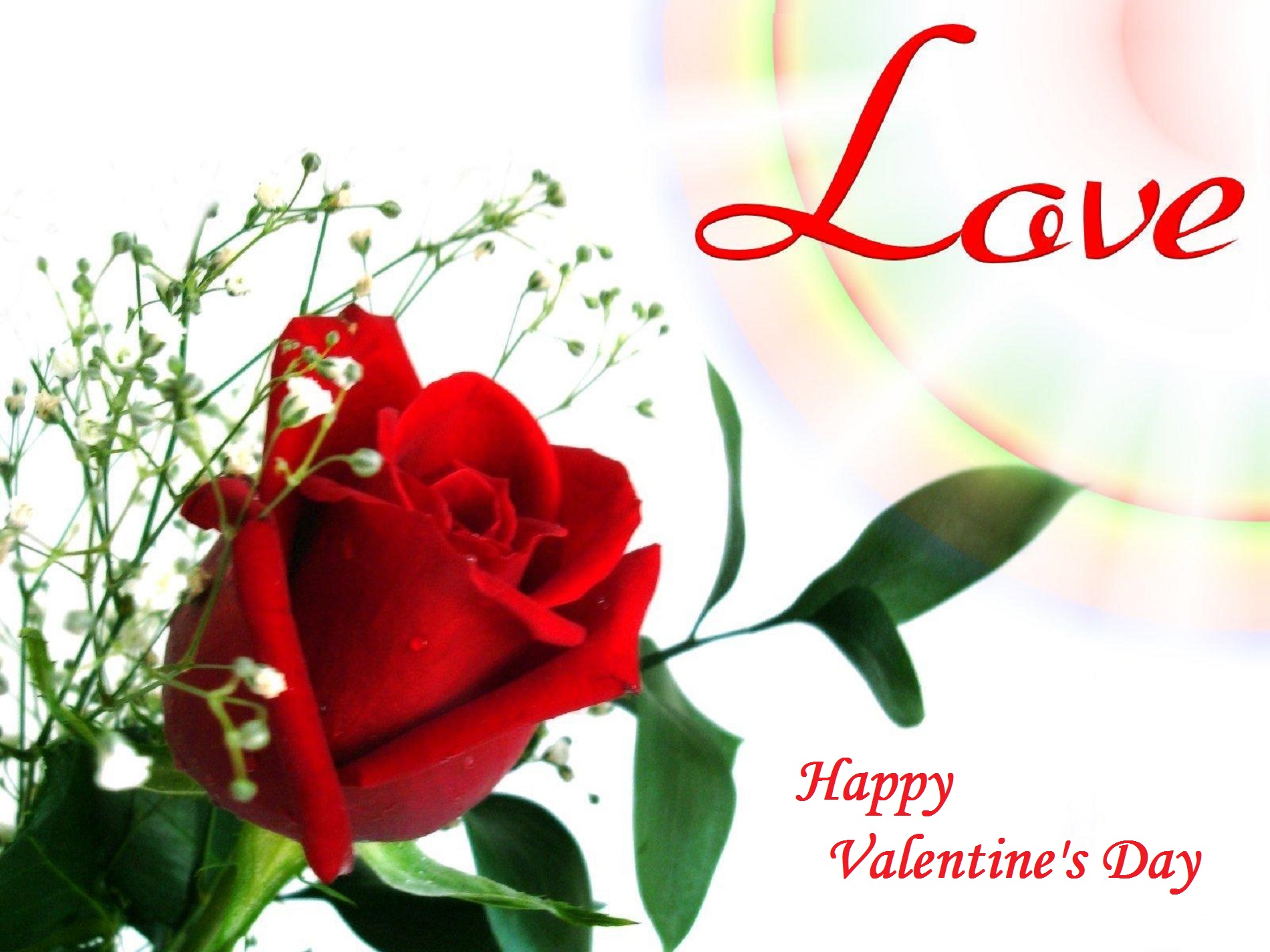 beautiful wallpaper for valentine image