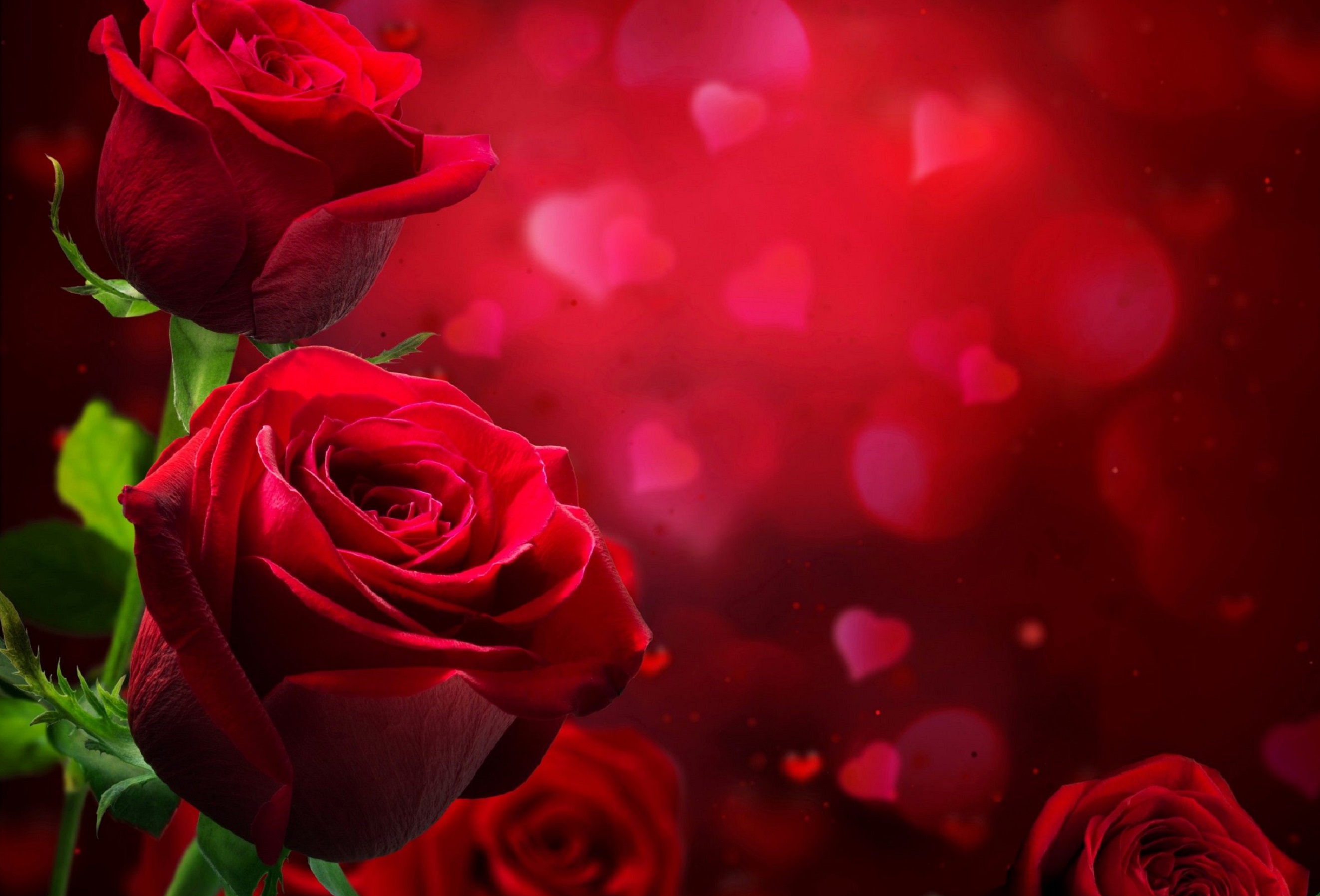 Beautiful & Romantic Love Wallpapers for Valentines Day