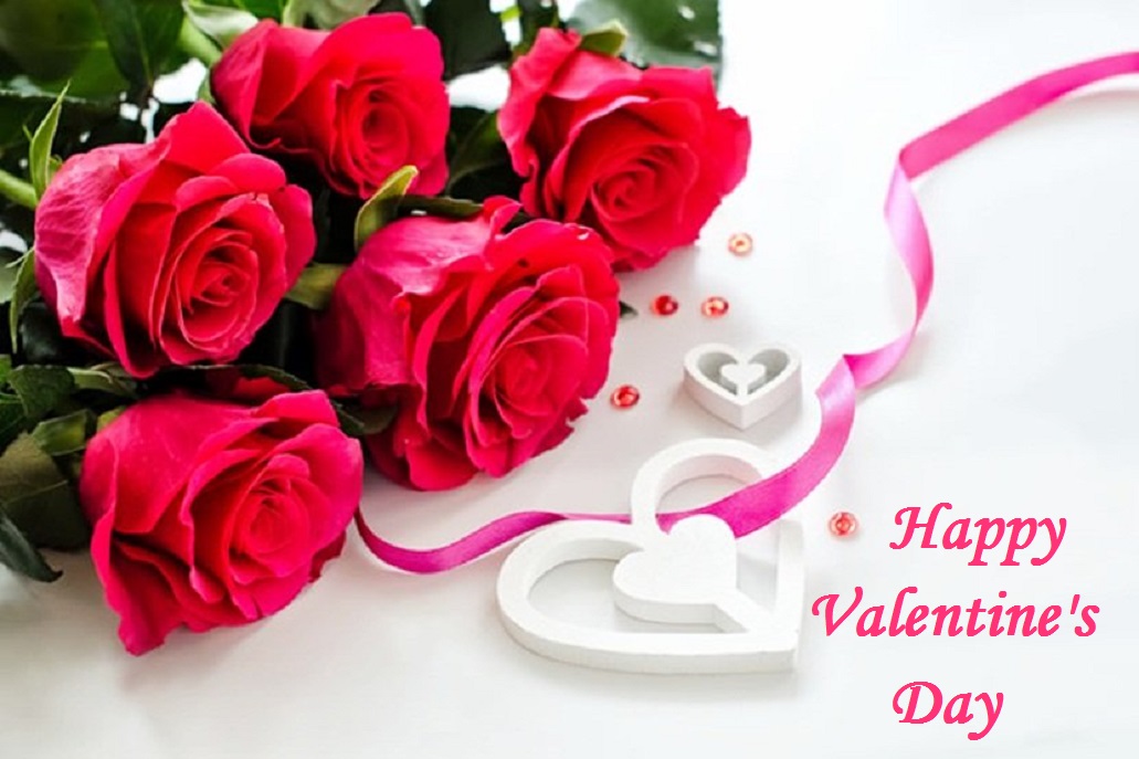rose image with valentine messages