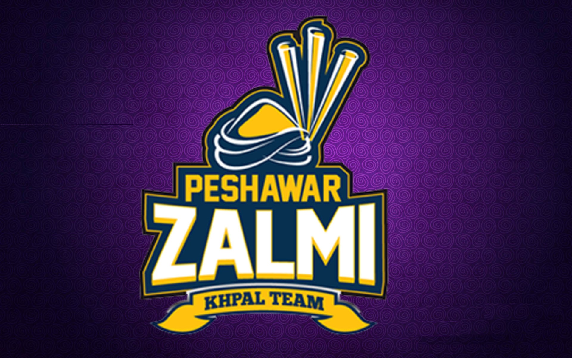 peshawar-zalmi-PSL-team-hd-logo