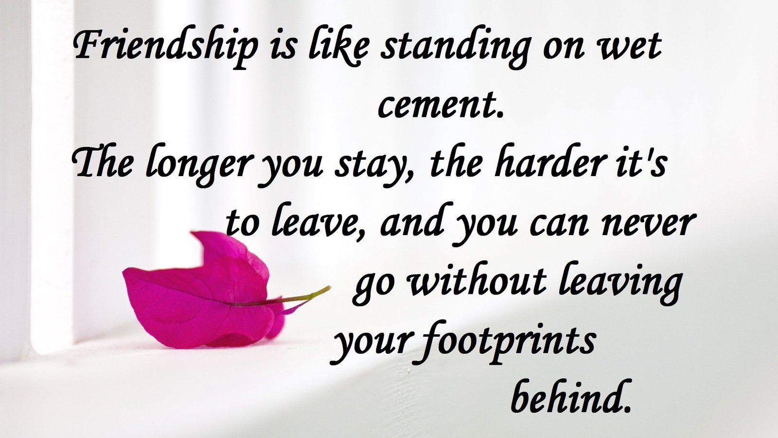 beautiful image for friendship quotes