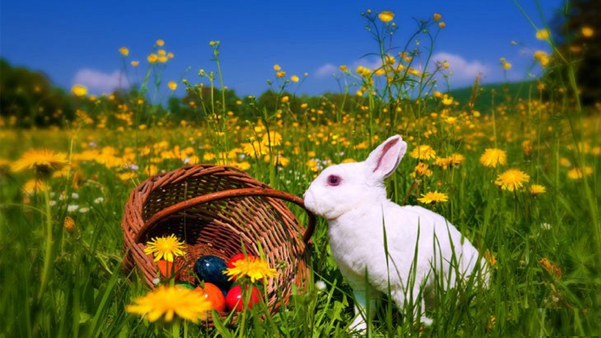 beautiful easter wallpapers image