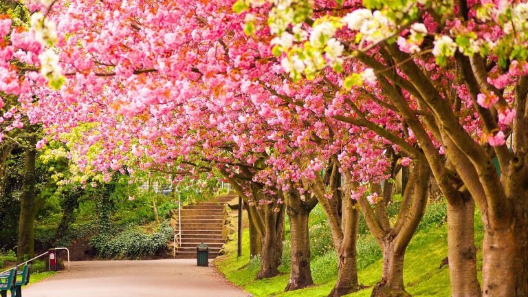 beautiful spring season wallpaper 2017