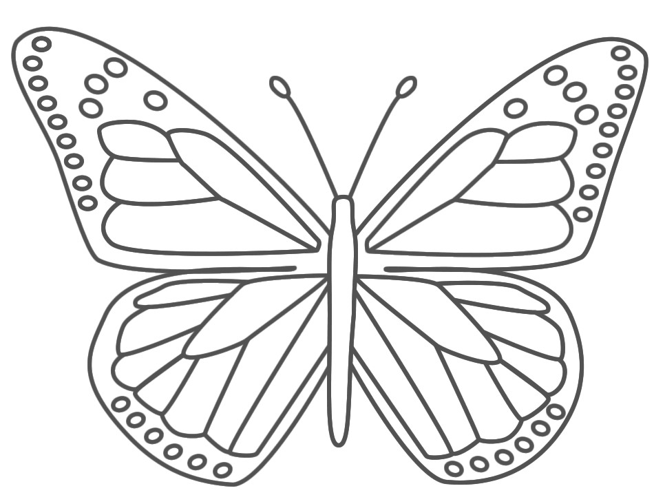 butterfly colouring sheets