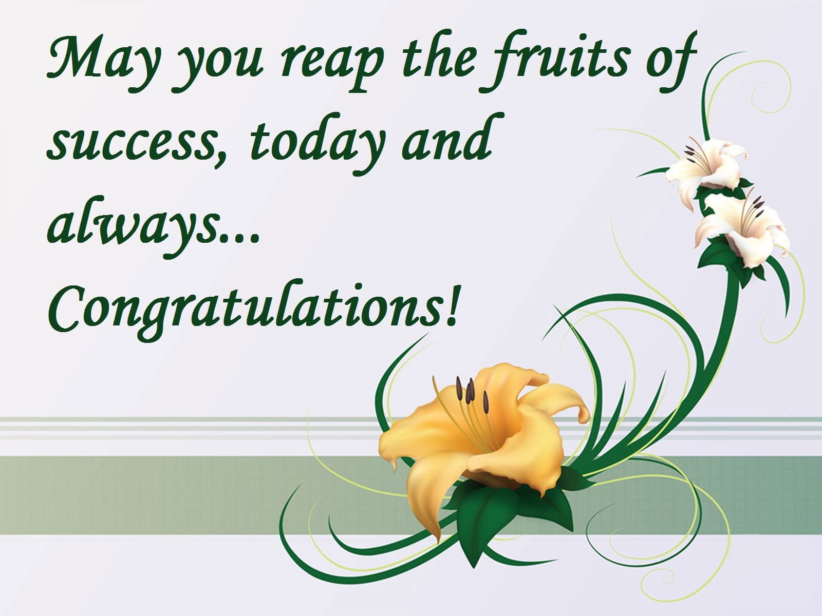 card for congrats