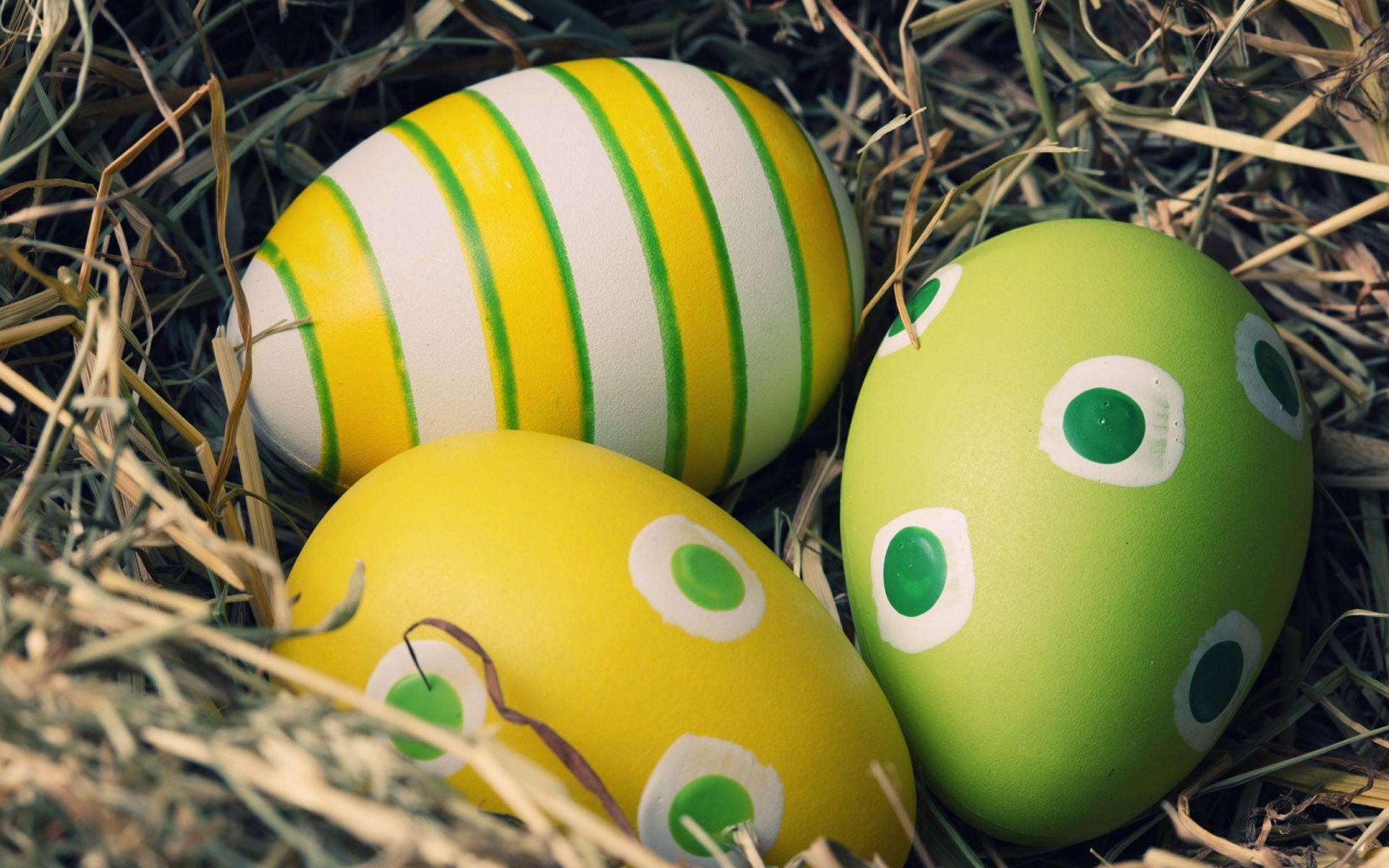 eggs decoration image 2017