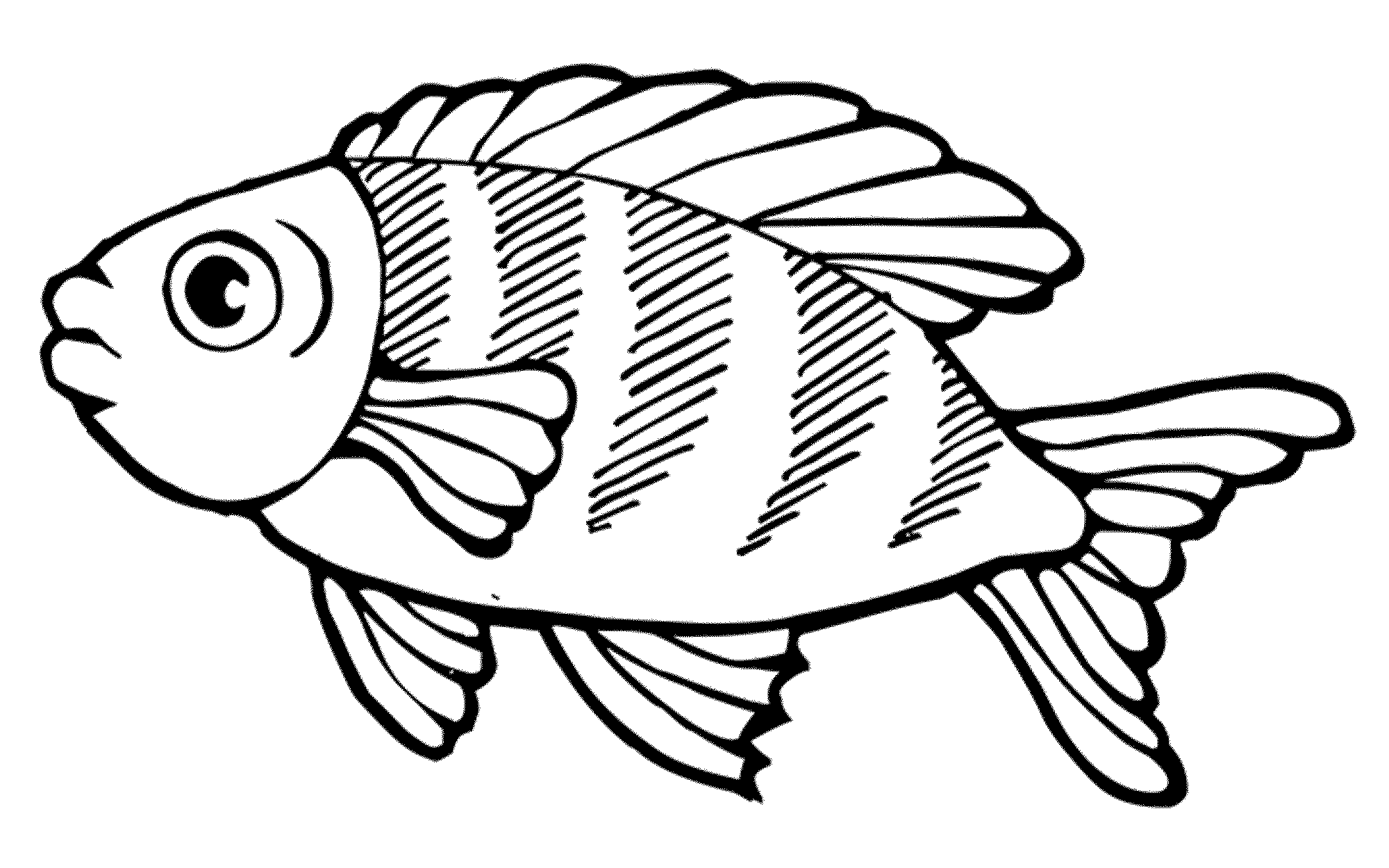 fish image colouring page
