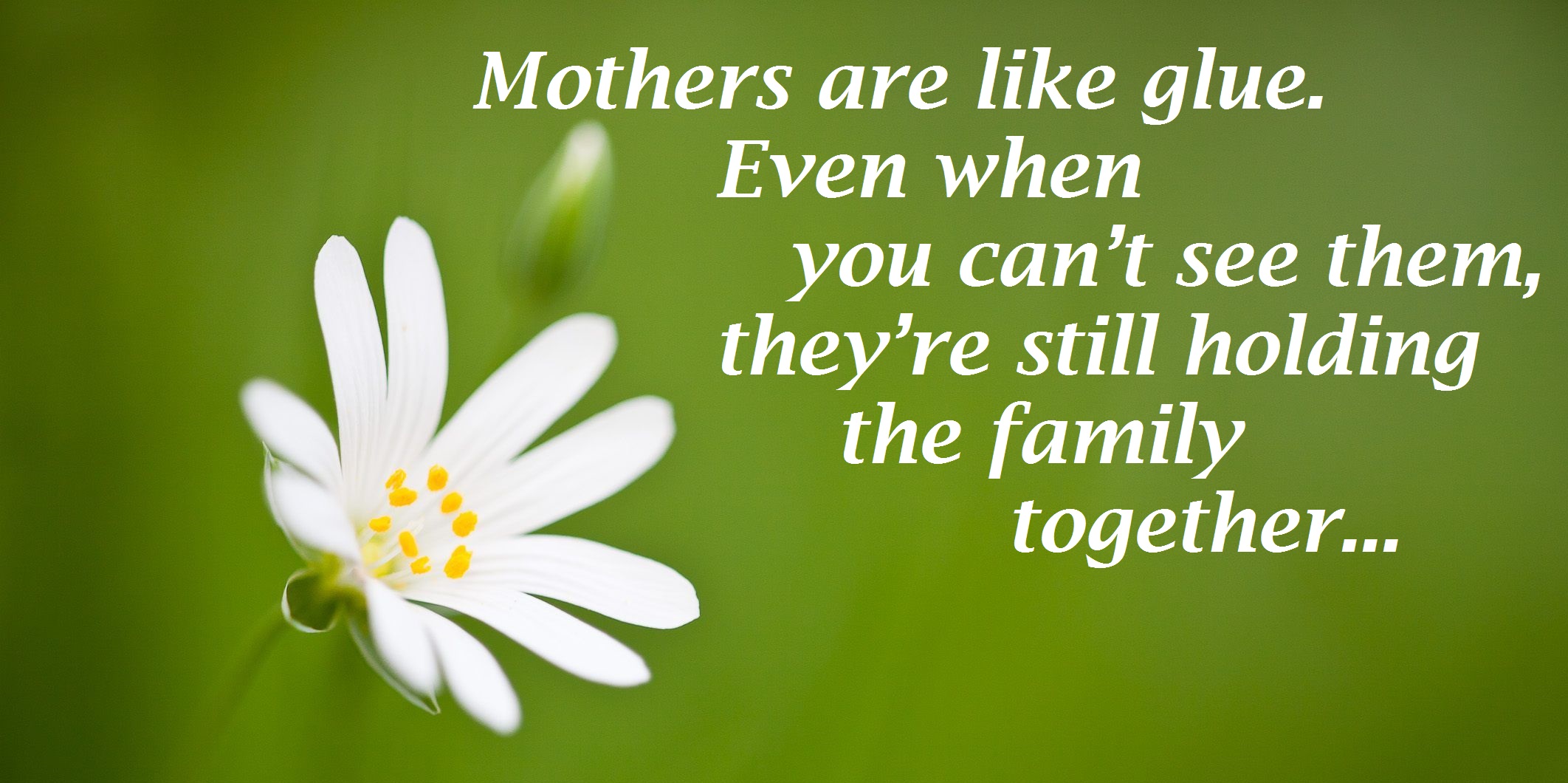 image for mothers day