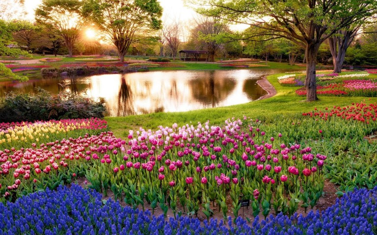 lovely spring garden image