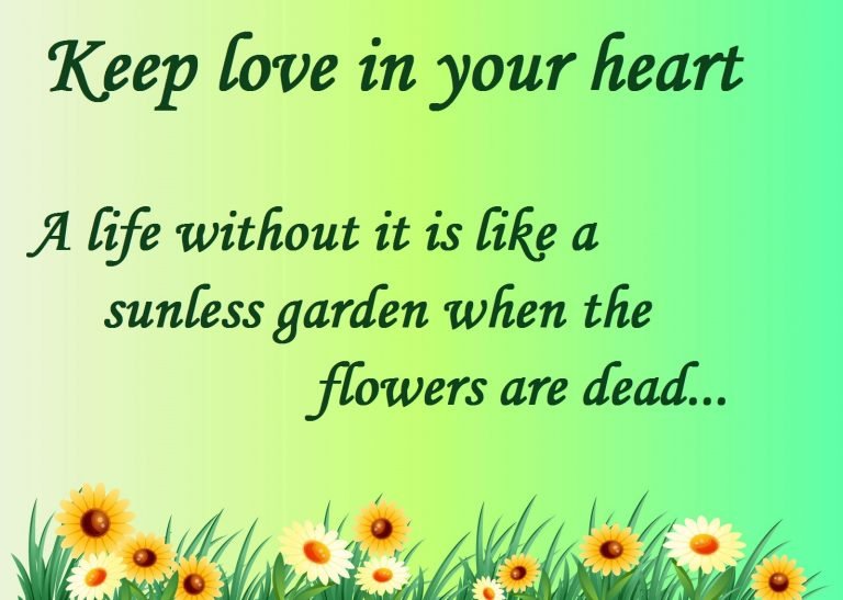 quotes images