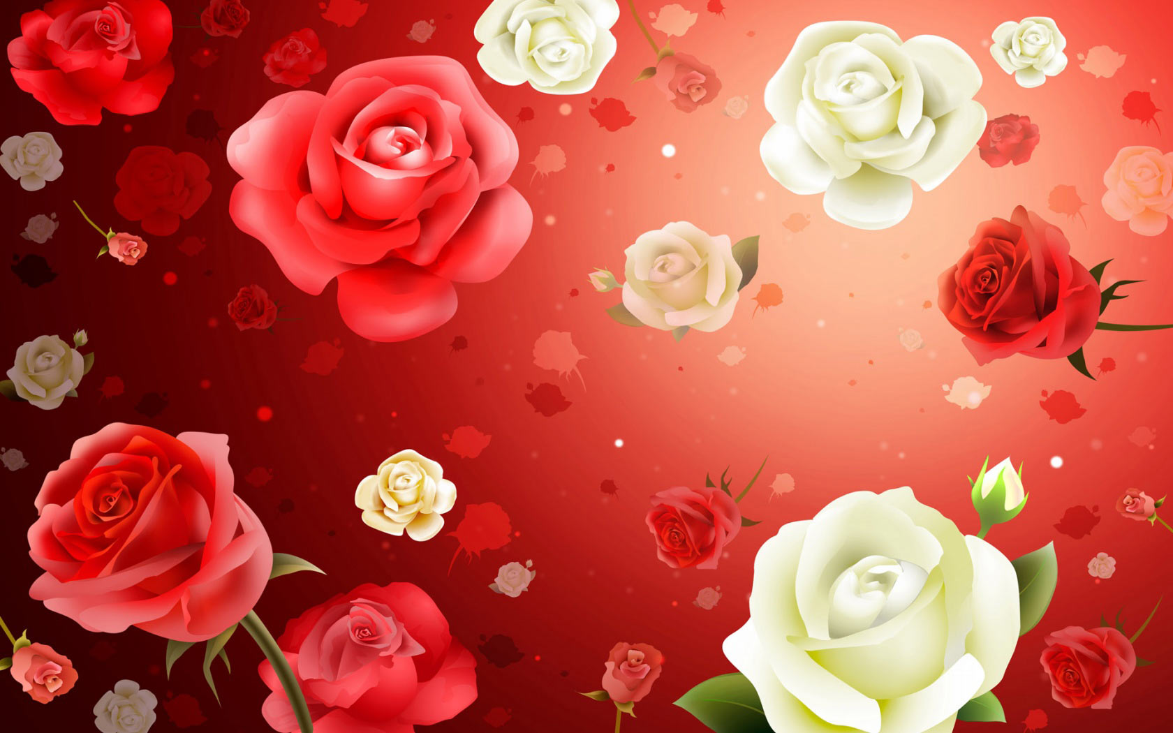 Beautiful Red Rose Images & HD Wallpapers