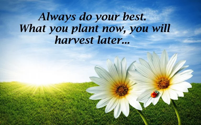 image for motivational quotes