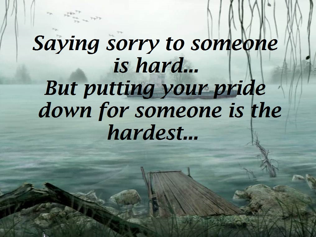 image for sorry quotes
