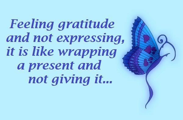 gratitude quotes 2017