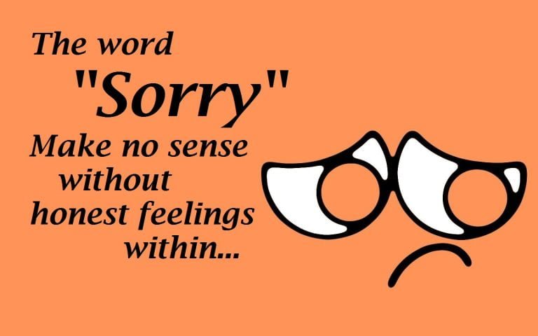 i am sorry quotes