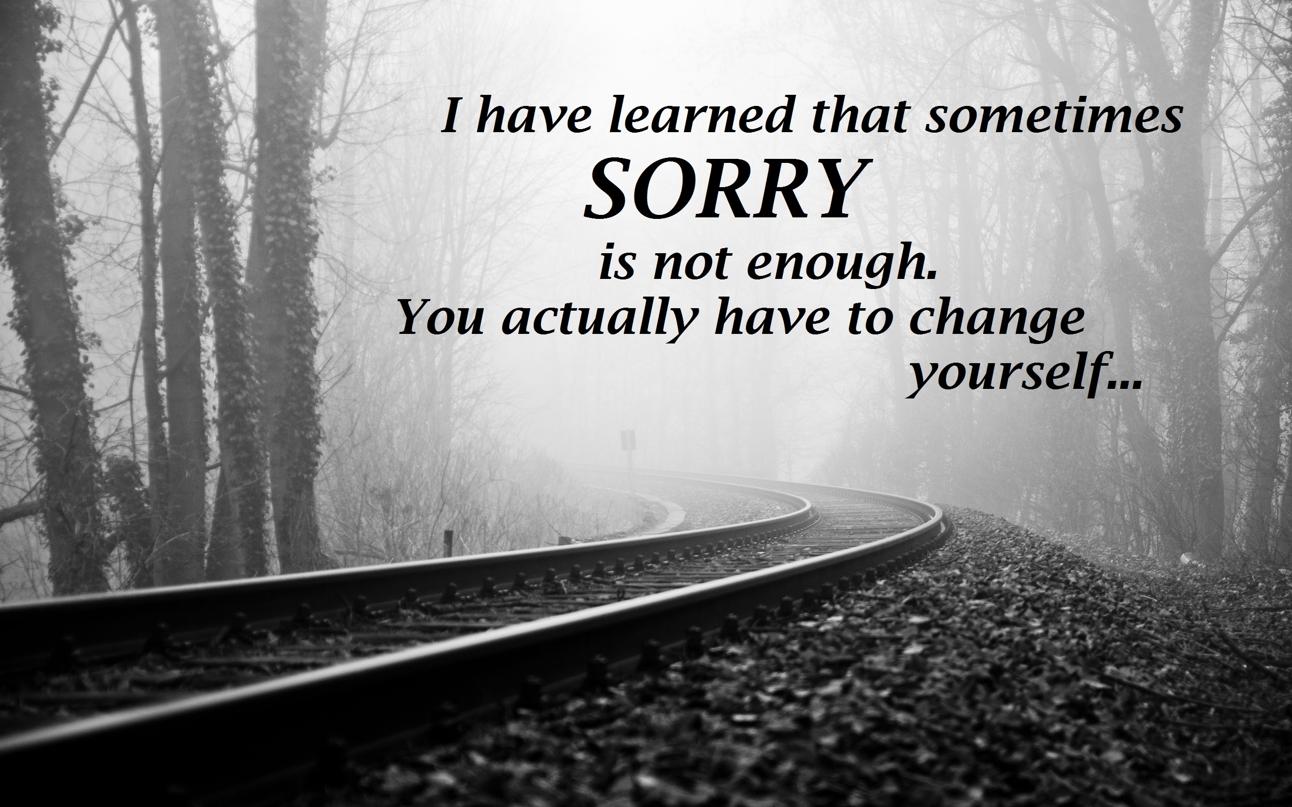 i m sorry quotes image