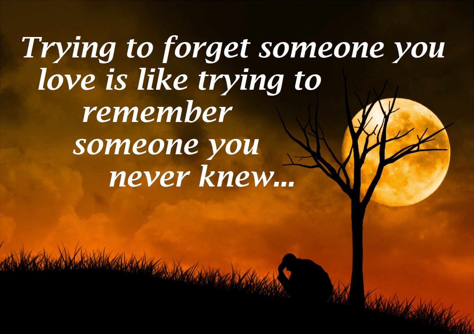 Broken Heart & Breakup Quotes 2017 Images free download