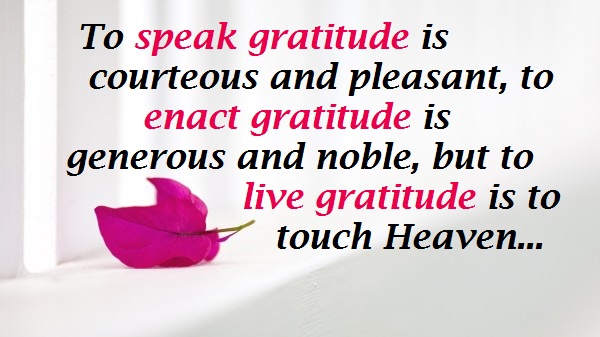 image for gratitude quotes
