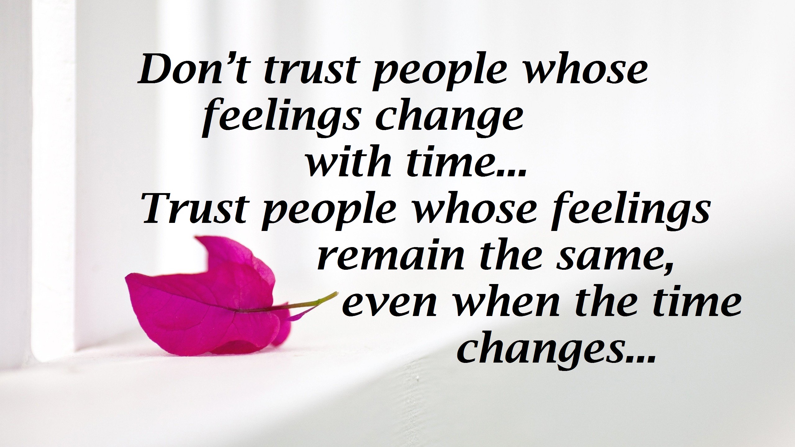 image for trust quotes