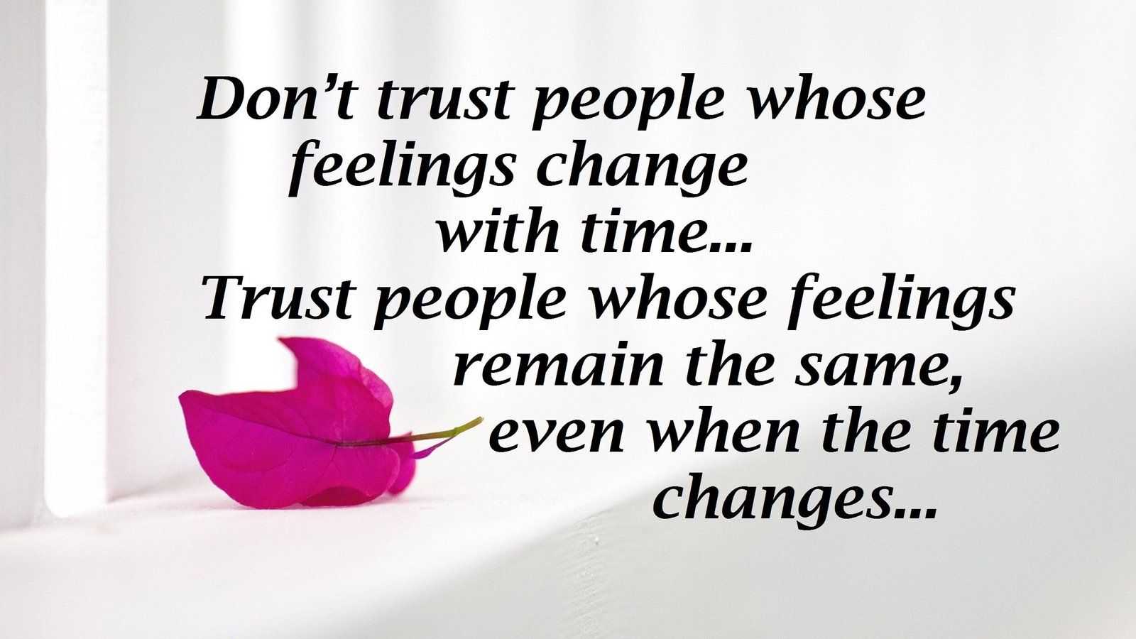 Beautiful Trust Quotes Images & Pictures free download