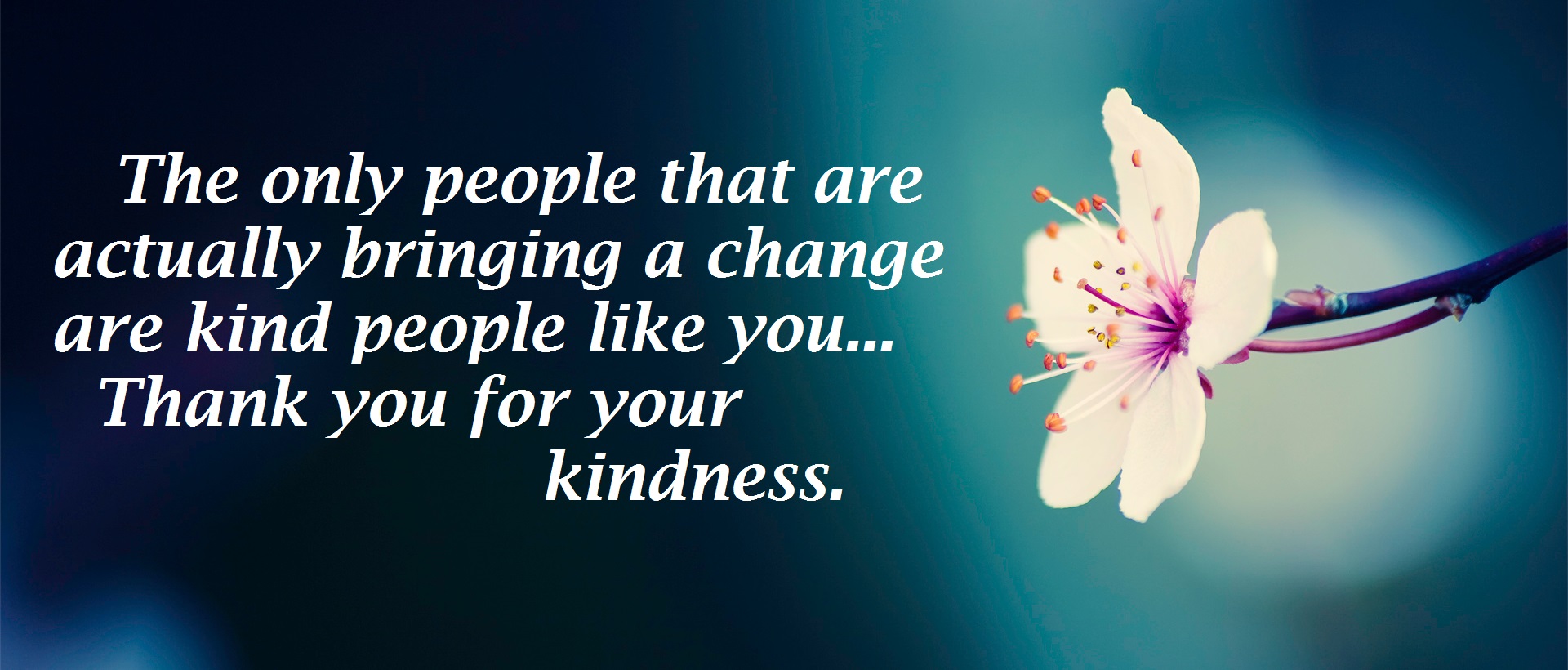 kindness quotes image