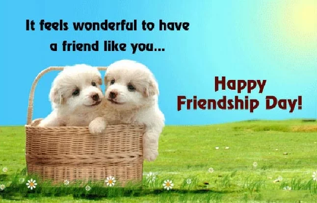 happy friendship day 2017 image