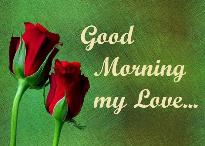 Good Morning Message To My Love | Morning Greetings
