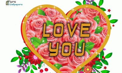 i love you gif images pictures 2022