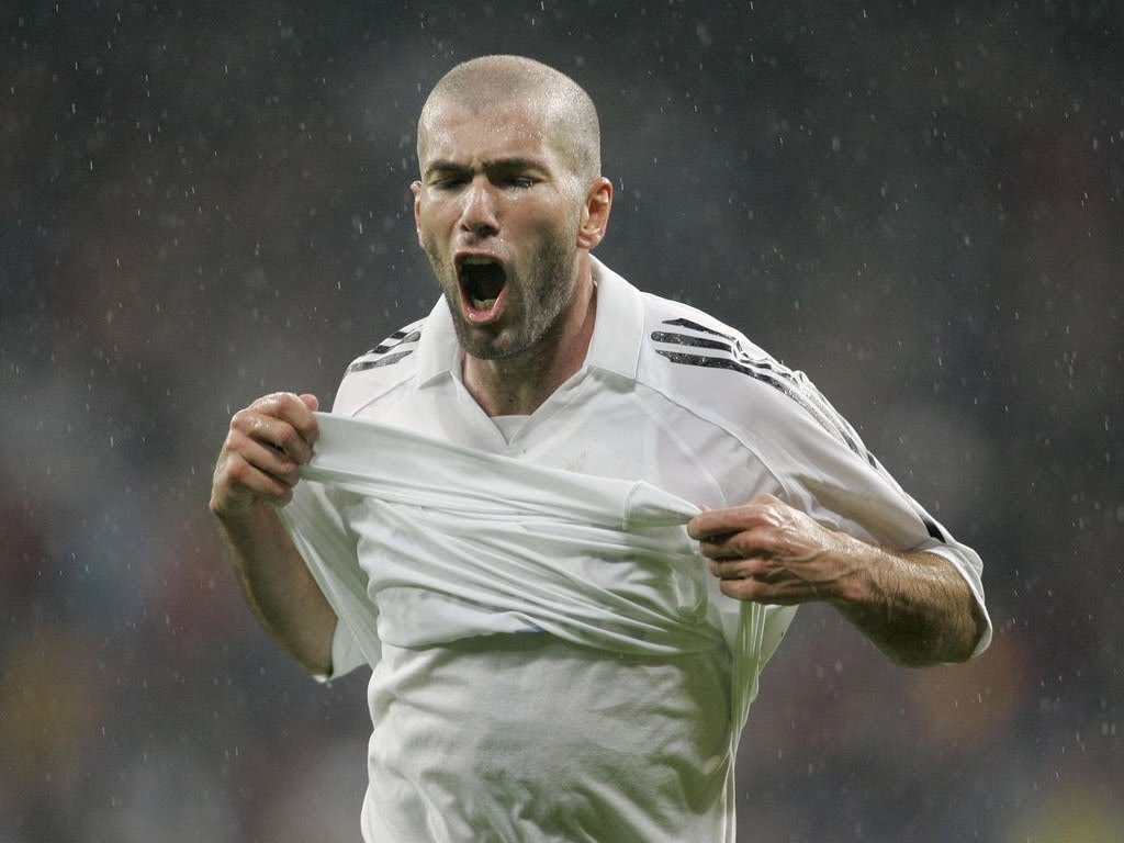 Zinedine Zidane Goal Celebration image