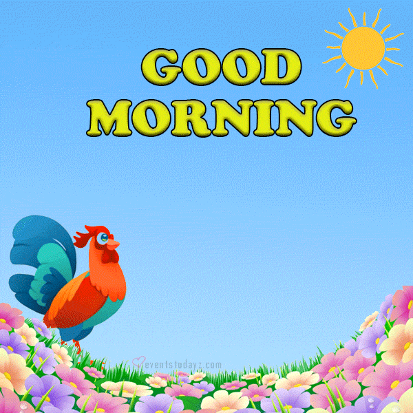 Good Morning GIF Images & Pictures free download