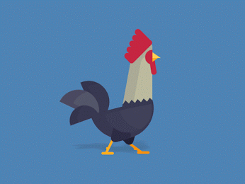 Animated gif images