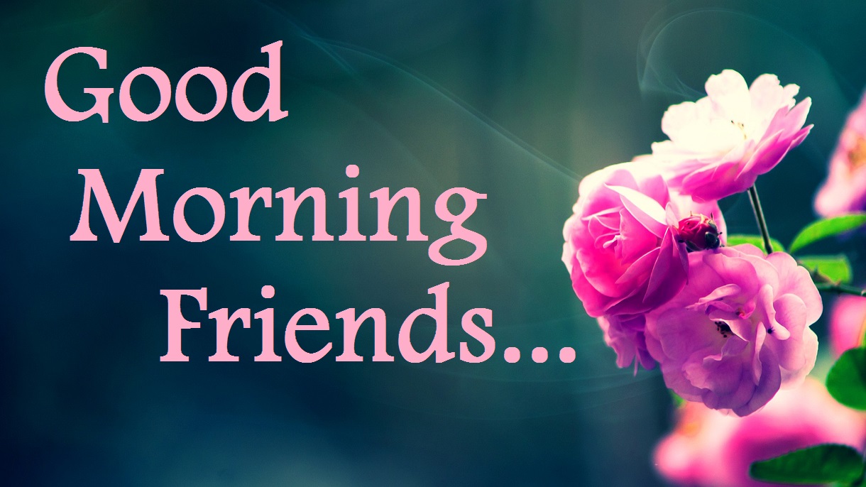 Good Morning Friends Pictures, Images & HD Wallpapers