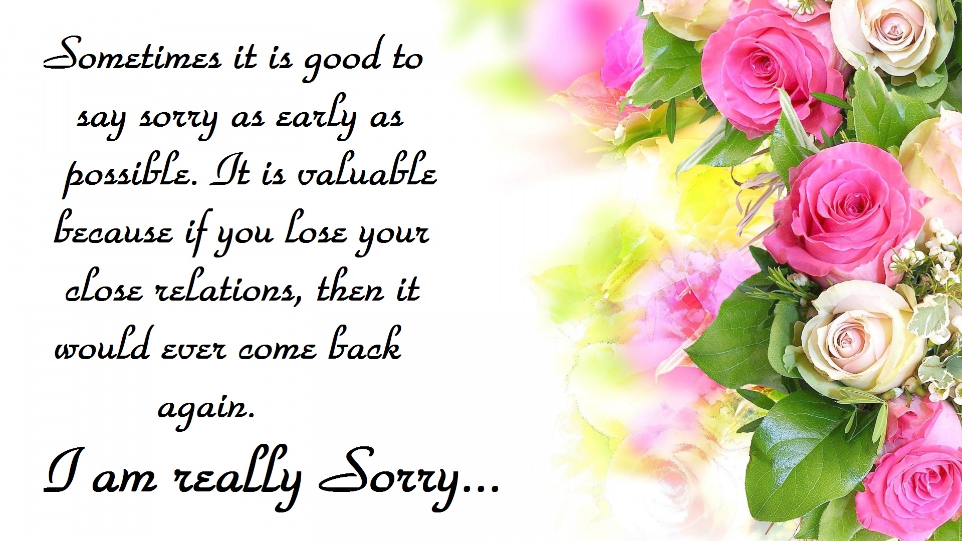 image for sorry messages