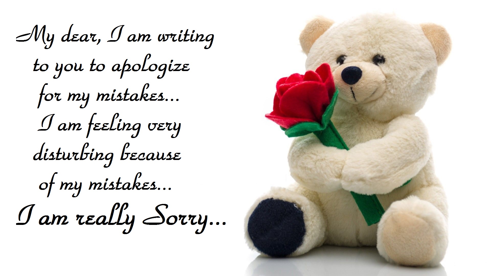 sorry messages image