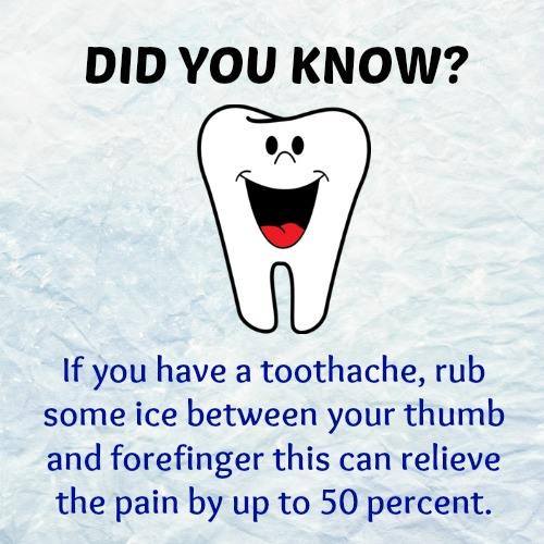 Tooth facts image