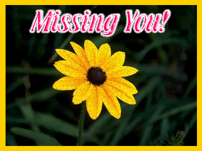 missing you gif image