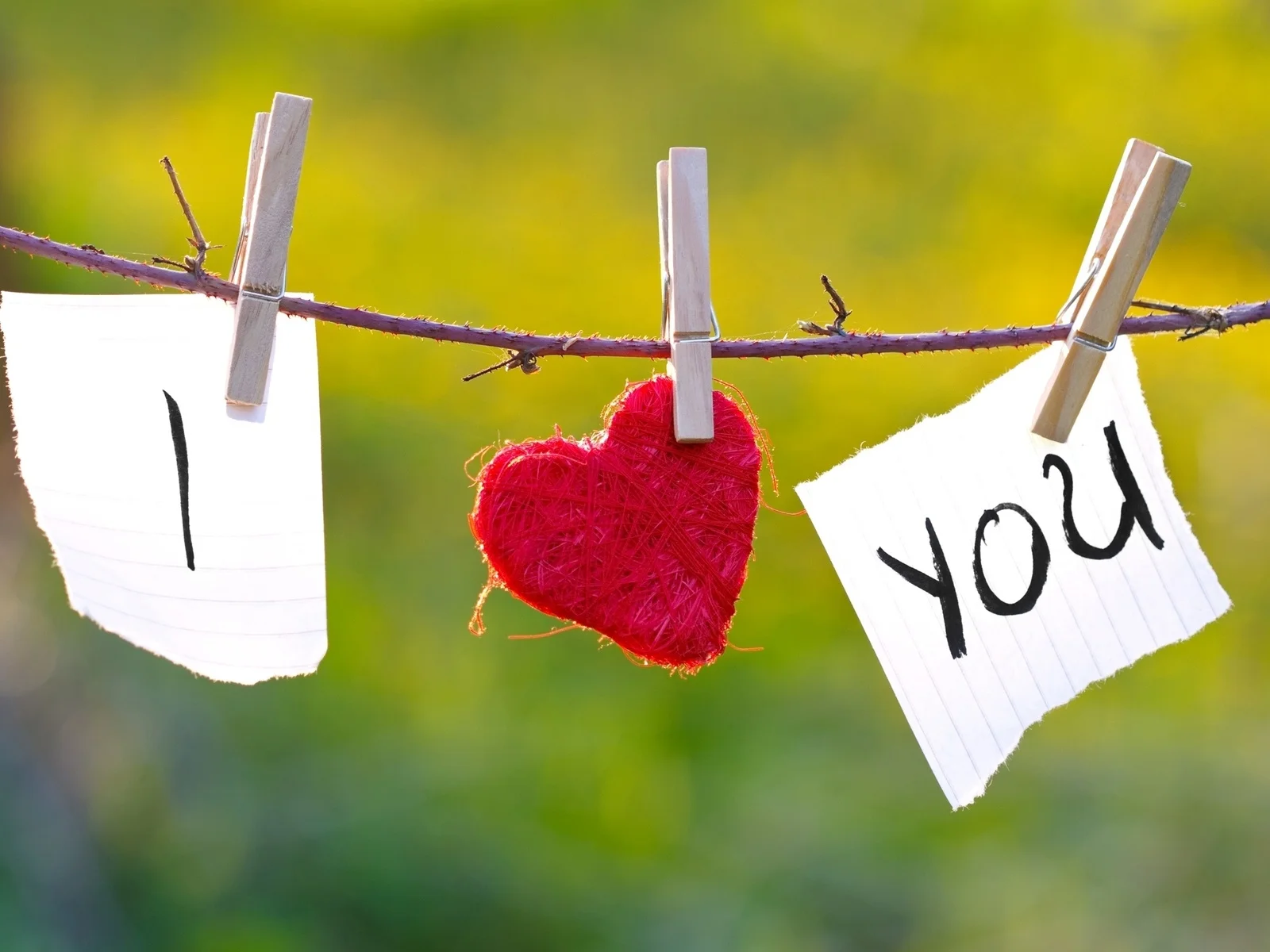 I Love You wallpaper