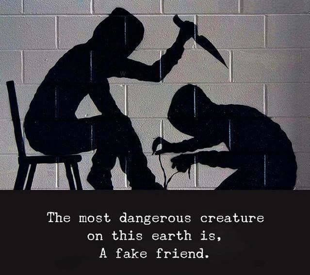 Stay Away From Fake Friends Image